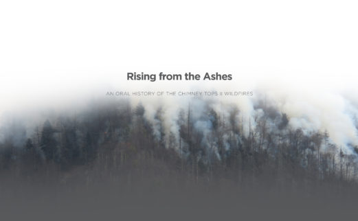 Image of forest on fire with text "Rising from the Ashes"