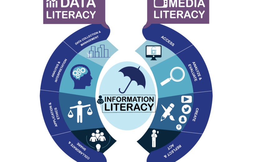 Media and Data Infographic surrounding information literacy