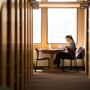 Photograph of a student studying inside Hodges library near a window