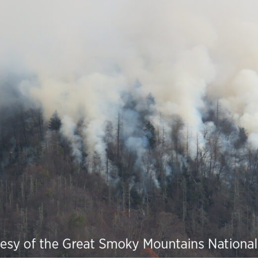 Chimney Tops 2 wildfire, Great Smoky Mountains National Park