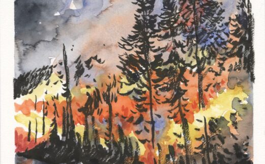 Chimney Tops 2 Wildfires: “The Wildfires.” Drawing by Paige Braddock.