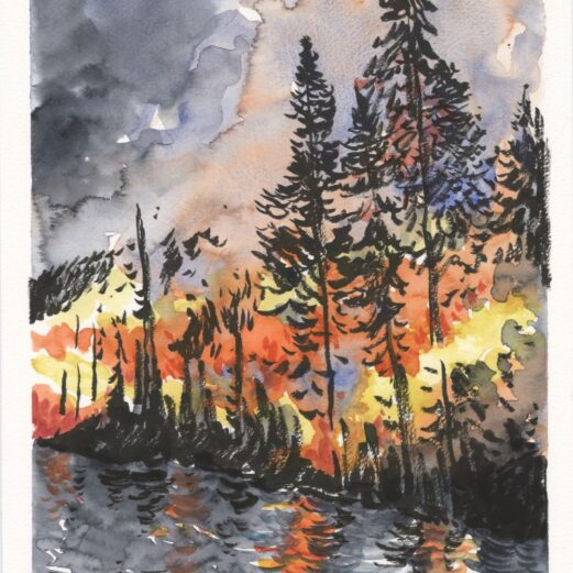 Chimney Tops 2 Wildfires: “The Wildfires.” Drawing by Paige Braddock.
