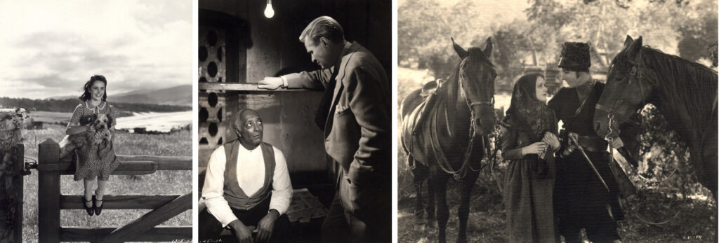 Stills from Clarence Brown films — "National Velvet," "Intruder in the Dust," "The Eagle"